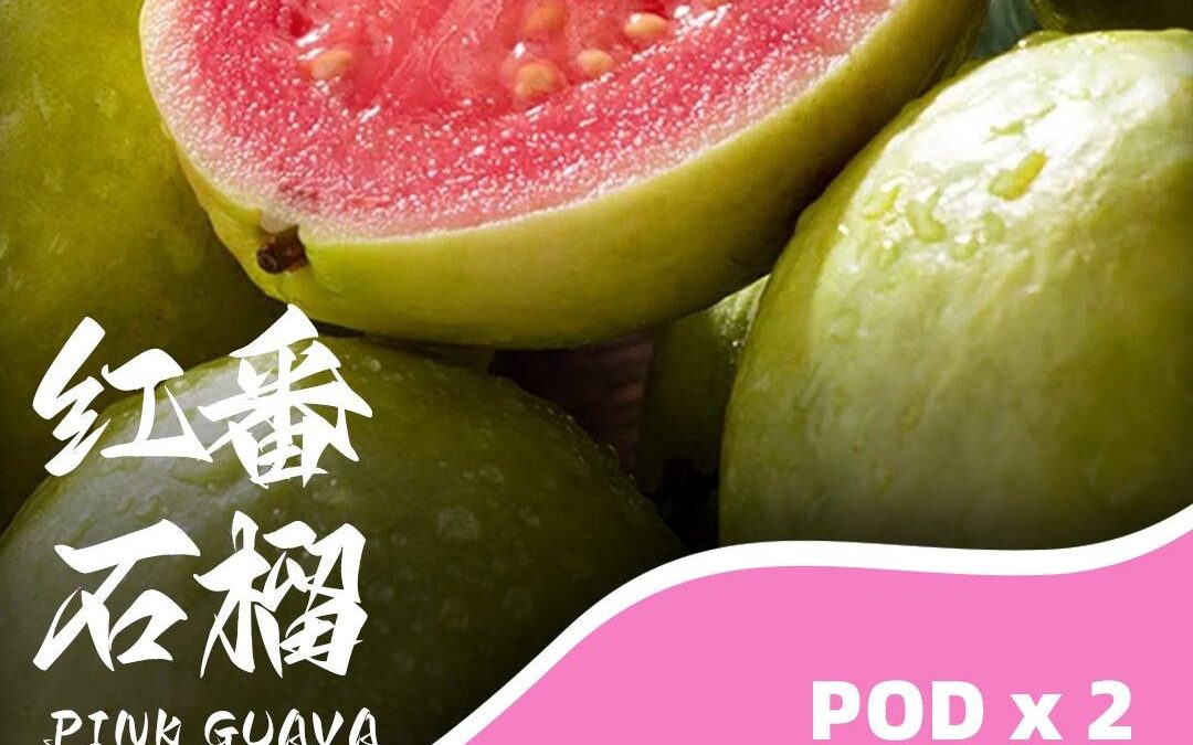 【評測】SP2S MAX煙彈紅番石榴口味：被譽為「熱帶紅寶石」的驚艷口感！4.0ml 濃郁果香全天候守護